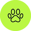 Pet Supplies