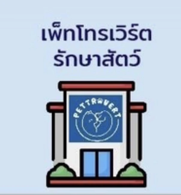 Store